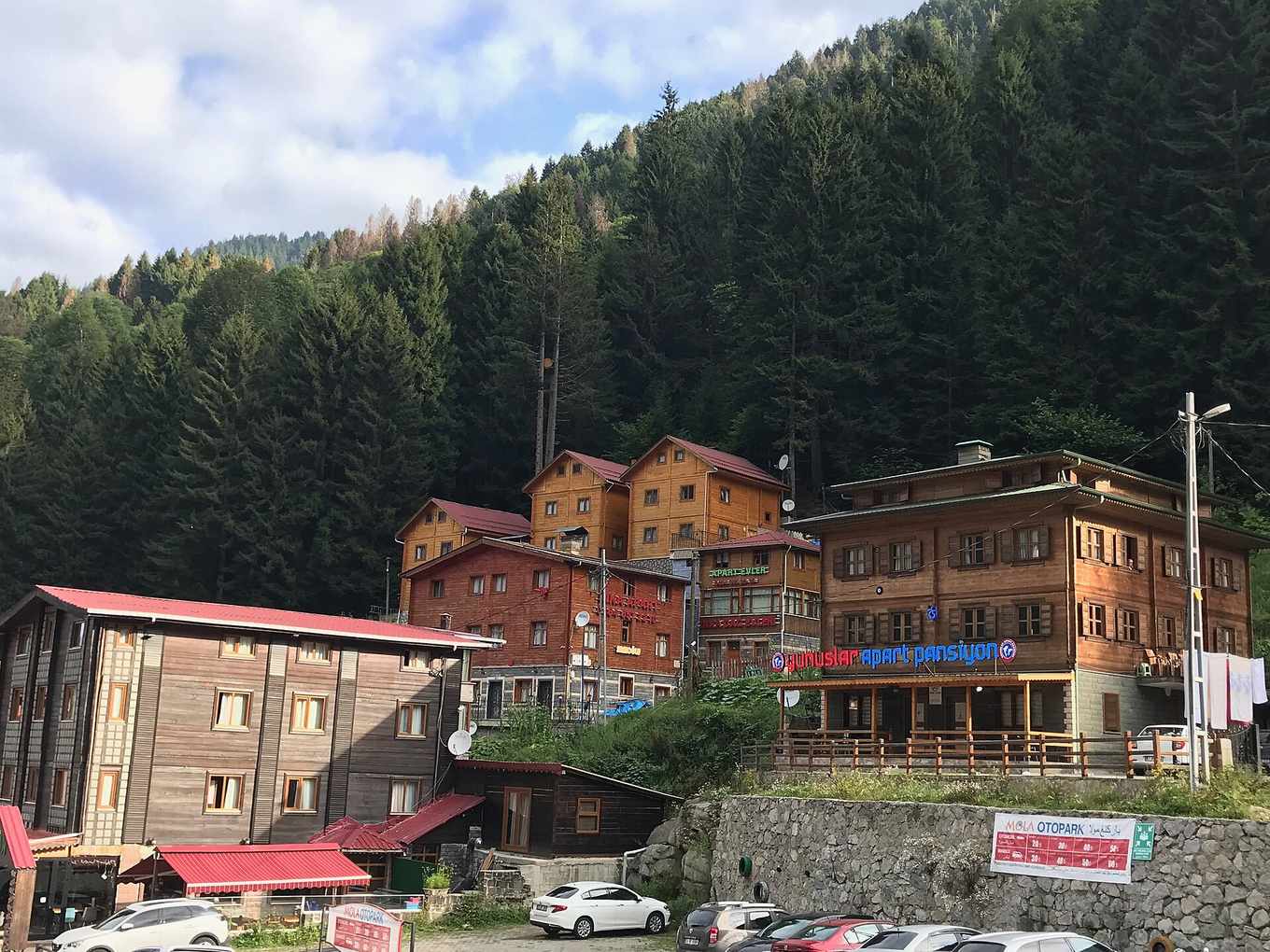 Fırtına Vadisi'nde ahşap köprü ve dere manzarası